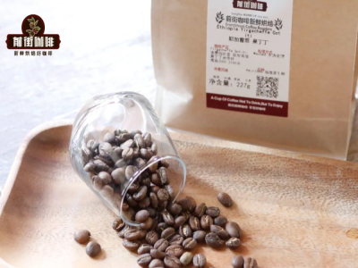 แนะนำเมล็ดกาแฟดริปคั่วอ่อนกลางเข้ม | พื้นที่ปลูกกาแฟใดบ้างที่อุดมไปด้วยเมล็ดกาแฟพิเศษ? มือใหม่กาแฟเลือกเมล็ดกาแฟประจำวันให้ถูกปากได้อย่างไร?
