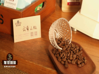 คำอธิบายลักษณะรสชาติกลิ่นหอมของเมล็ดกาแฟโรบัสตา โทษของเมล็ดโรบัสตาทำไมจึงขึ้นชื่อว่าฉาวโฉ่ เหตุผลที่โรบัสตามีน้ำมันมากมาย