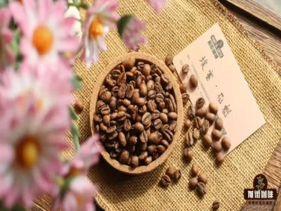 เอสเซียซิดาโมะNatural Huakui｜เมล็ดกาแฟโซลโอริจิน Huakui/เกอชา/เกชาเป็นกาแฟพันธุ์เดียวกันหรือไม่? Huakui กับ Geisha ต่างกันอย่างไร?