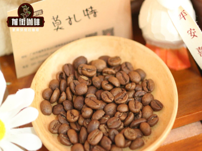 เรื่องราวที่มาของกาแฟสกัดเย็น｜กาแฟสกัดด้วยอุณหภูมิต่ำมีลักษณะรสชาติอย่างไร? เมล็ดกาแฟSingle Originและเบลนด์ชนิดใดเหมาะสำหรับทำกาแฟสกัดเย็น?