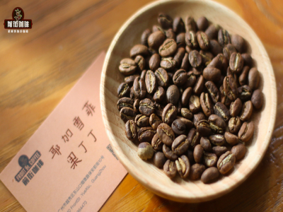 แนะนำเมล็ดคั่วอ่อนสำหรับ Cold Brew | มือใหม่เลือกซื้อเมล็ดกาแฟ Cold Brew อย่างไร? Yirgacheffe washed, Huakui natural, Kenya, มะเขือเทศเชอร์รี่ เหมาะทำ Cold Brew ไหม?
