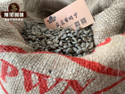 กาแฟสุมาตรา｜กระบวนการเปียกแบบเชลล์ (wet-hulled) ส่งผลต่อรสชาติกาแฟมันเดลลิงอินโดนีเซียอย่างไร? PWN โกลเดนมันเดลลิงกับลินตงมันเดลลิงแบบไหนอร่อยกว่า?