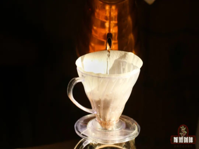 เมล็ดกาแฟเคนยา AA｜พันธุ์กาแฟเคนยา SL28 SL34 และแนะนำลักษณะรสชาติ