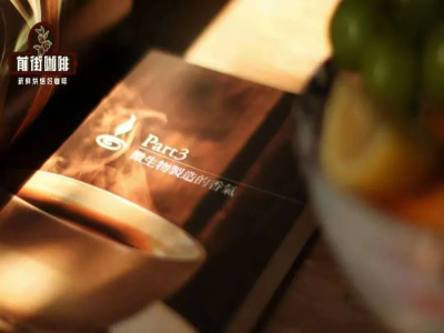 รสชาติกาแฟ｜ทำไมกาแฟบางแก้วถึงมีรสชาติเหมือน 
