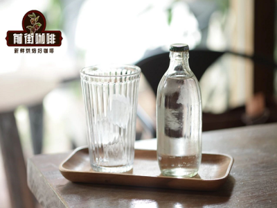กาแฟอเมริกาโน่เย็นโซดาทำอย่างไรให้อร่อย? กาแฟอเมริกาโน่เย็นกับกาแฟอเมริกาโน่เย็นโซดาต่างกันอย่างไร? เมล็ดกาแฟแบบไหนทำอเมริกาโน่โซดาให้อร่อย?