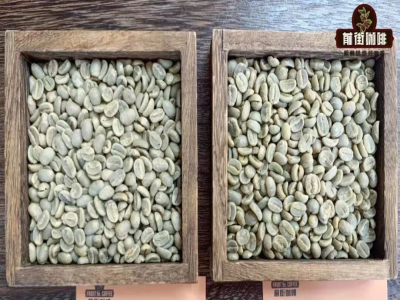PNG coffee｜ทำไมกาแฟปาปัวนิวกินีจึงได้ชื่อว่าบลูเมาน์เทนน้อย? ลักษณะเด่นของรสชาติไทปิก้าล้างน้ำนกสวรรค์จากเอสเตทซิกีรีคืออะไร?