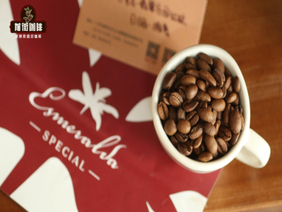 วิธีชงกาแฟดริป｜กาแฟดริปสำหรับผู้เริ่มต้นควรเลือกเมล็ดกาแฟชนิดใด？วิธีสกัดกาแฟดริปเทคนิคการชงแนะนำอุปกรณ์ชงกาแฟ