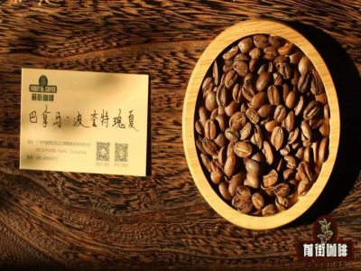 Geisha คือกาแฟอะไร｜ทำไมกาแฟเมล็ด Geisha จึงมักเน้นปานามา? มีภูมิภาคปลูกกาแฟใดบ้างที่ปลูก Geisha? ความพิเศษเฉพาะของ Geisha ปานามาคืออะไร?