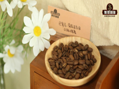 รสสัมผัสของกาแฟเกชา｜กาแฟเมล็ดเกชาคั่วอ่อนหรือคั่วเข้มดีกว่ากัน？แหล่งปลูกกาแฟเกชาอยู่ที่ไหน？รสชาติของกาแฟเกชา gesha อธิบายอย่างไร？