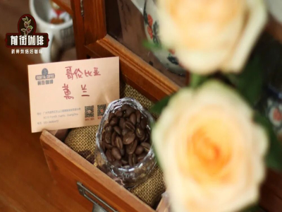 เรื่องราวกาแฟ｜โคลอมเบียเริ่มปลูกกาแฟเมื่อไหร่? สมาคมผู้ปลูกกาแฟแห่งชาติโคลอมเบีย (FNC) มีบทบาทอย่างไรต่อการพัฒนาอุตสาหกรรมกาแฟ?