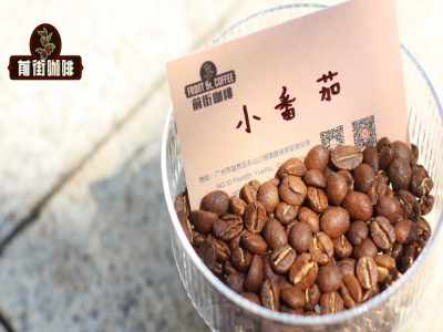 สอนทำกาแฟสกัดเย็น｜ทำกาแฟเย็นที่บ้านเลือกใช้เมล็ดกาแฟโสดตัวไหนดี? แนะนำเมล็ดกาแฟพิเศษที่คอกาแฟมือฉมังเลือกใช้สำหรับทำโคลด์บรู