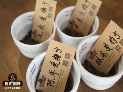 เมล็ดกาแฟมันเดลิงเกาะสุมาตรา อินโดนีเซีย｜รสชาติการชงของมันเดลิงและ PWN โกลเดนมันเดลิง