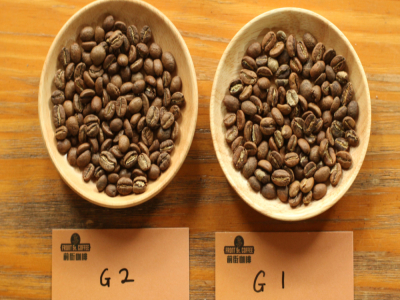 แนะนำระดับเมล็ดกาแฟดิบ｜ระบบการแบ่งระดับเมล็ดกาแฟดิบของแต่ละประเทศ G1, G2, AA, PB, SHB ลักษณะเด่นของเมล็ดกาแฟ ความแตกต่างด้านรสชาติและสัมผัสเปรียบเทียบ