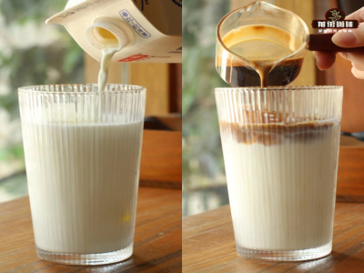 ลาเต้ SOE｜กาแฟเมล็ด SOE สกัดเอสเปรสโซ่อย่างไร? ทำลาเต้ SOE เองที่บ้านใช้อัตราส่วนนมเท่าไหร่? ลาเต้ร้อนควรเลือกกาแฟเมล็ดอิตาเลียนแบบไหน?