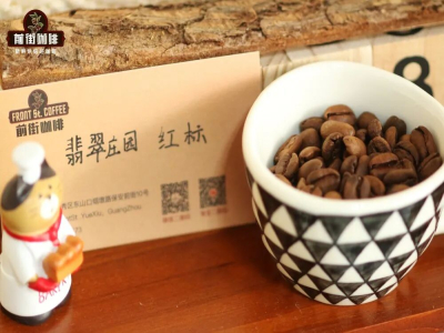 แหล่งกำเนิดกาแฟเกชา｜เกชาจากปานามาและเอธิโอเปียต่างกันอย่างไร? พันธุ์เกชามีอะไรบ้าง? แนะนำเกรดเกชามรกตปานามา