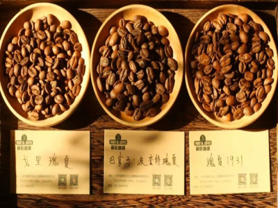 ระดับกาแฟของ Gesha village｜กาแฟ Gesha Village จากเอธิโอเปียระดับ Gold Label กับ Red Label มีรสชาติและสัมผัสต่างกันอย่างไร?