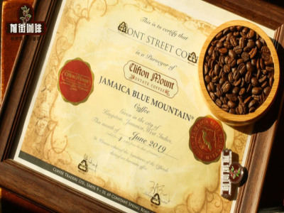 แนะนำเมล็ดกาแฟดริปเข้มข้นไม่เปรี้ยว | กาแฟบลูเมาน์เทนเป็นอาราบิก้าหรือไม่? มือใหม่ซื้อเมล็ดกาแฟสายพันธุ์เดียวจาเมกาบลูเมาน์เทนแท้รสชาติดีได้อย่างไร?