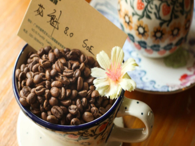 เมล็ดกาแฟ SOE｜ชื่อเต็มของ soe คืออะไร? เมล็ด SOE ใช้ทำเอสเปรสโซ่หรือทำกาแฟดริป? เมล็ด SOE กับเมล็ดกาแฟดริปแบบซิงเกิลออริจินต่างกันมากแค่ไหน?