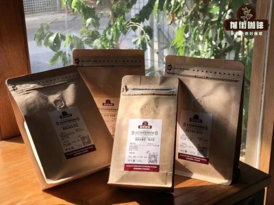 แบรนด์กาแฟคั่ว｜มือใหม่เริ่มต้นควรซื้อเมล็ดกาแฟหรือผงกาแฟดี？แบรนด์กาแฟที่นักดื่มกาแฟตัวยงเลือกมีแบรนด์ไหนแนะนำบ้าง