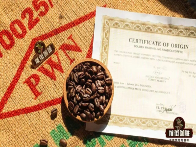 ลักษณะเด่นของกาแฟแอฟริกา｜เยอร์กาชีเฟ่คลาสสิกนอกจากทำแบบหยดแล้วยังทำโคลด์บรู/ไอซ์ดริป/SOEเอสเปรสโซ่ได้ไหม? แนะนำเมล็ดกาแฟสายพันธุ์เดียวรสชาติดอกไม้และส้มที่มือใหม่ก็จิบง่าย