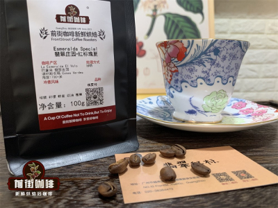 เรื่องราวต้นกำเนิดของ Geisha (เกชา)｜ทำไมกาแฟ Geisha/เกชาถึงมีราคาแพงขนาดนี้? เมล็ดกาแฟดริป Geisha คุณภาพสูงตัวไหนที่มือใหม่ควรซื้อ
