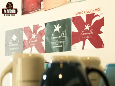 ถั่วกาแฟเจียะซา เอสเตท Jade Panamá | ความแตกต่างระหว่างถั่วกาแฟเจียะซา Red Label กับเจียะซา Green Label (Geisha)? เอสเตท Jade แบ่งระดับความเกรดของกาแฟเจียะซาอย่างไรและมีที่มาอย่างไร?