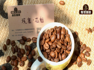 สามยักษ์ใหญ่กาแฟพิเศษเอธิโอเปีย: Gesha, เยอร์กาชีฟ และหัวขวย ต่างกันอย่างไร?
