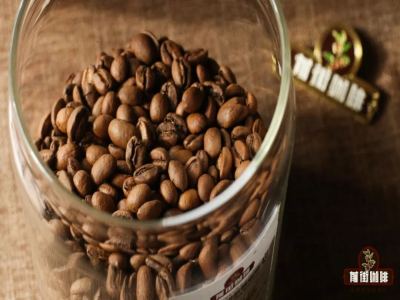 ความรู้เกี่ยวกับกาแฟ｜จะแยกแยะระดับการคั่วของเมล็ดกาแฟได้อย่างรวดเร็วได้อย่างไร? แนะนำพารามิเตอร์ระดับการบดกาแฟและอุณหภูมิน้ำในการชงสำหรับกาแฟคั่วอ่อน-กลางและกาแฟคั่วกลาง-เข้ม