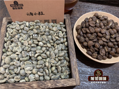 รสชาติกาแฟยูนนาน｜กาแฟอาราบิก้าเมล็ดเล็กพันธุ์ Typica และ Catimor ของยูนนานมีความแตกต่างด้านรสชาติและสัมผัสอย่างไร? แนะนำเมล็ดกาแฟดริปพิเศษยูนนานที่อร่อยและราคาไม่แพง