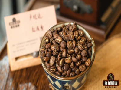 แบรนด์เมล็ดกาแฟคัดสรร｜นักดื่มกาแฟตัวยงเลือกซื้อเมล็ดกาแฟดริปแบบไหน? แนะนำเมล็ดกาแฟดริปคั่วอ่อนกลางเข้มที่อร่อยคุ้มค่าเหมาะสำหรับมือใหม่
