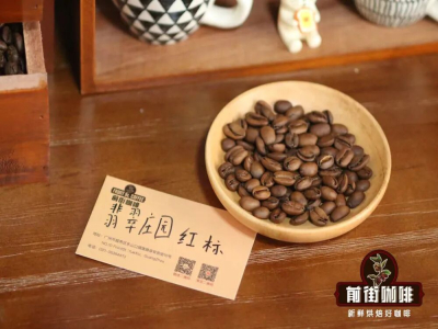 กาแฟFrench Press｜รสชาติกาแฟของGeishaจากแหล่งปลูกต่างๆมีความแตกต่างกันอย่างไร? วิธีใช้French PressชงกาแฟGeishaให้อร่อย?