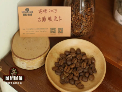 เมล็ดกาแฟยูนนานพันธุ์คาติมอร์และทิปิกา｜พันธุ์คาติมอร์เป็นอาราบิกาหรือโรบัสตา? กาแฟยูนนานพันธุ์คาติมอร์มีลักษณะรสชาติอะไรบ้าง?