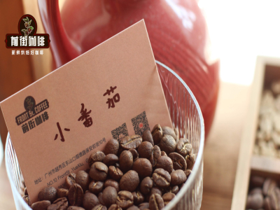 เรื่องราวต้นกำเนิดของกาแฟดริปน้ำแข็ง｜ทำไมกาแฟดริปน้ำแข็งถึงเรียกว่า Dutch coffee กาแฟดัตช์? ใช้กาที่ดริปน้ำแข็งอย่างไร? กาแฟดริปน้ำแข็งเลือกใช้เมล็ดกาแฟแบบไหน?