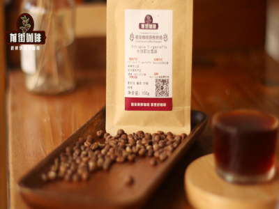 แหล่งปลูกกาแฟเยอร์กาชีฟเฟ่｜ทำไมกาแฟเอธิโอเปียส่วนใหญ่จึงแปรรูปด้วยวิธีล้างน้ำ？กาแฟดริปคั่วอ่อนคัดพิเศษที่เหมาะสำหรับมือใหม่มีอะไรแนะนำบ้าง