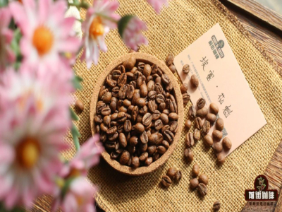 แนะนำยี่ห้อและชนิดของดริปเบกกาแฟ｜ถุงดริปเบกกาแฟชงซ้ำได้ไหม? หลักการสกัดของดริปเบกกาแฟคืออะไร? ถุงดริปเบกกาแฟ Specialty Coffee มีอะไรบ้าง?