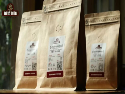 คู่มือเลือกซื้อเมล็ดกาแฟ｜มือใหม่กาแฟควรหาเมล็ดกาแฟที่เหมาะกับตัวเองอย่างไร? เมล็ดกาแฟจากกระบวนการแปรรูปต่าง ๆ มีลักษณะรสชาติอย่างไรบ้าง?