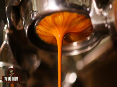 ลักษณะเด่นรสชาติของเมล็ดกาแฟ SOE｜SOE แตกต่างจากเมล็ดกาแฟเบลนด์อย่างไร? มือใหม่กาแฟทำกาแฟ SOE ให้อร่อยได้อย่างไร?