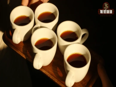 คำถามที่มือใหม่ชงกาแฟเจอบ่อย! สาเหตุที่กาแฟดริปมีรสขมหนักคืออะไร? การสกัดเกินและการสกัดไม่พอคืออะไร? ไม่ชอบรสขมควรซื้อเมล็ดกาแฟแบบไหน?