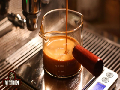 แนะนำชนิดเมล็ดกาแฟ SOE｜อะไรคือ single origin espresso? กาแฟ SOE เมล็ดดอกควีนกับเมล็ดเบลนด์ทำเอสเปรสโซ่แบบไหนอร่อยไม่ขม?