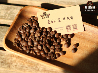 แนะนำเมล็ดกาแฟอเมริกาโน่โทนถั่ว｜ทำอเมริกาโน่รสอร่อยที่บ้านได้อย่างไร? 3 ขั้นตอนสำคัญ มือใหม่ก็ทำกาแฟดำสไตล์ร้านกาแฟได้เหมือนกัน!