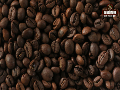วิธีทำกาแฟ SOE｜เอสเปรสโซที่ทำจากเมล็ด SOE เปรี้ยวหรือไม่? ปรับอัตราส่วนการสกัดกาแฟ SOE อย่างไร?