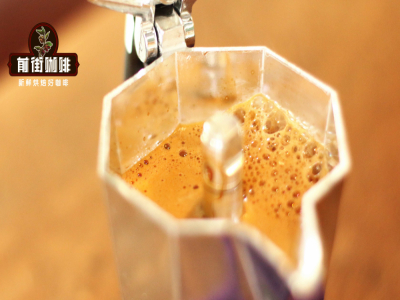 เทคนิคการเลือกเมล็ดกาแฟสำหรับหม้อโมก้า｜หม้อโมก้าใช้เมล็ดกาแฟอะไรดีที่สุด? แนะนำเมล็ดกาแฟspecialtyคั่วกลาง-เข้มสำหรับหม้อโมก้า 5 ตัวเลือกคุ้มค่าคุ้มราคาสูง
