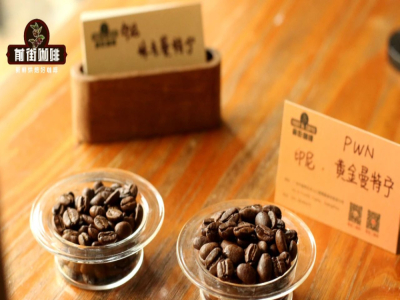 เมล็ดกาแฟดริปสำหรับดื่มประจำวัน｜แหล่งปลูกกาแฟคุณภาพสูงมีที่ไหนบ้าง? แนะนำเมล็ดกาแฟsingle origin คั่วอ่อน-กลาง-เข้มสำหรับมือใหม่หัดดริป